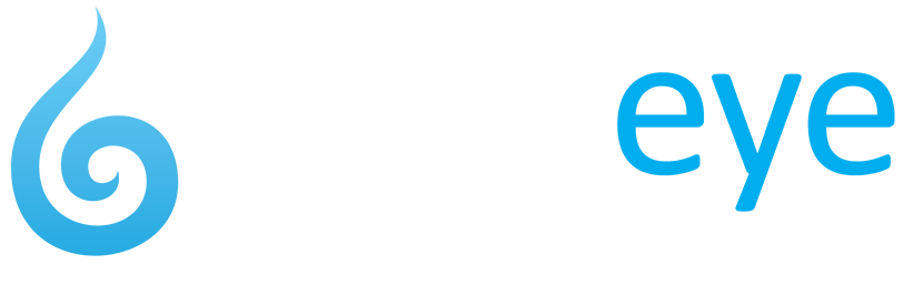 Digital Marketing | Webeye Digital Marketing Agency in Sri Lanka